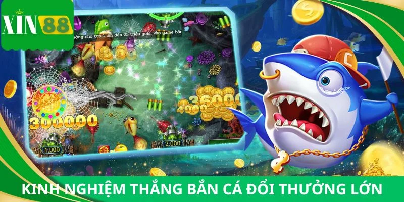 Bí kíp chiến thắng mọi ván bắn cá đổi thưởng lớn