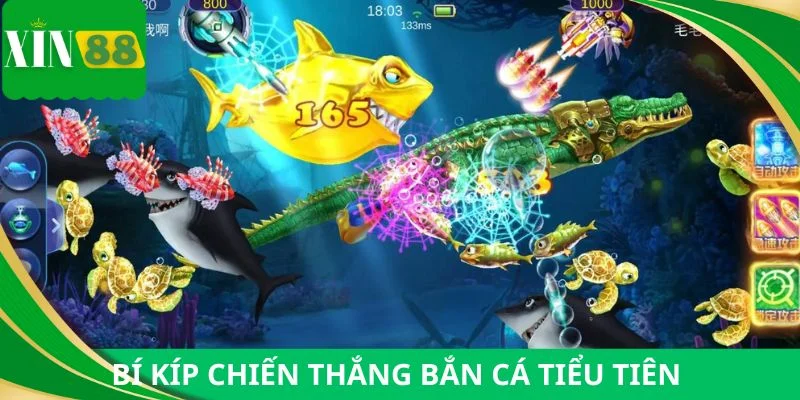 Bí kíp thắng tức tốc khi chơi bắn cá tiểu tiên