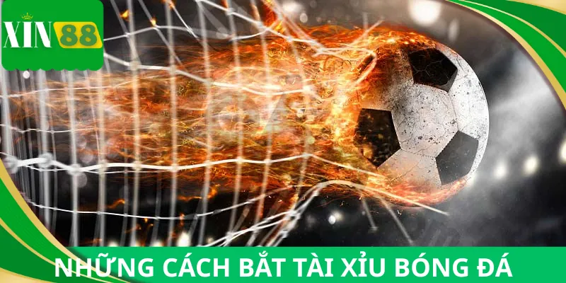 Tổng hợp cách bắt tài xỉu bóng đá được đánh giá cao