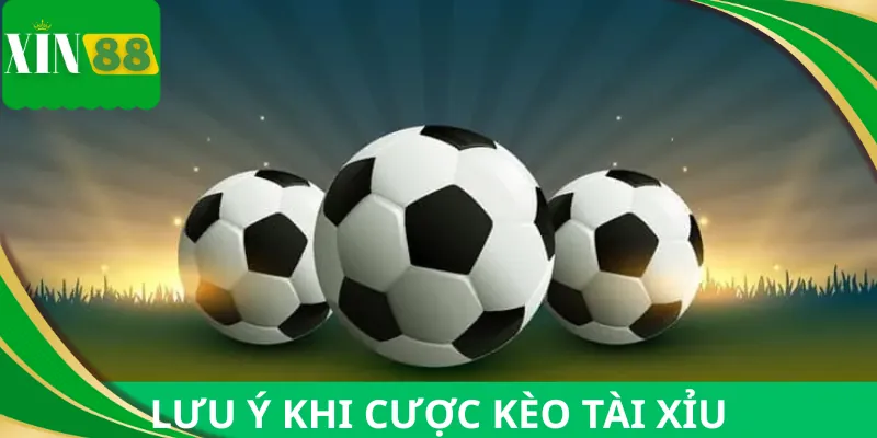 Lưu ý khi áp dụng cách chơi cá cược bóng đá