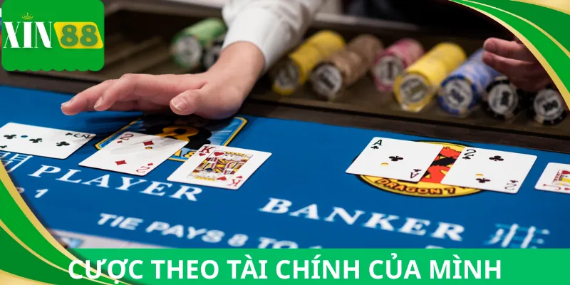 Nên cược với số vốn hiện có của mình