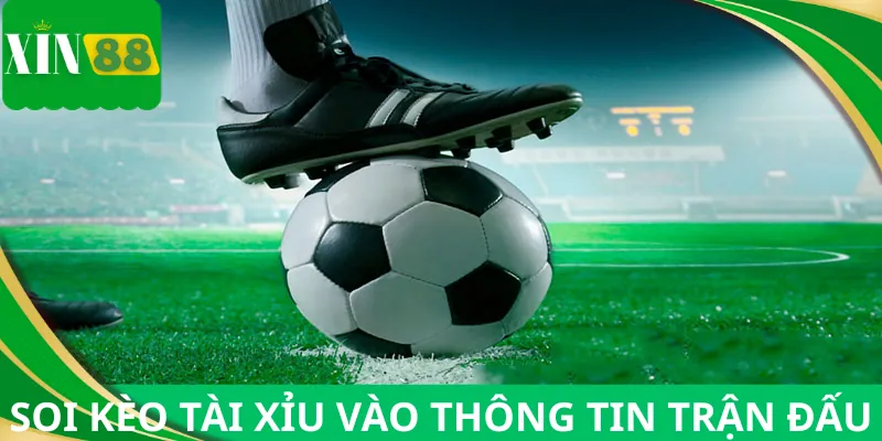 Mẹo soi kèo tài xỉu dựa vào các thông tin chính
