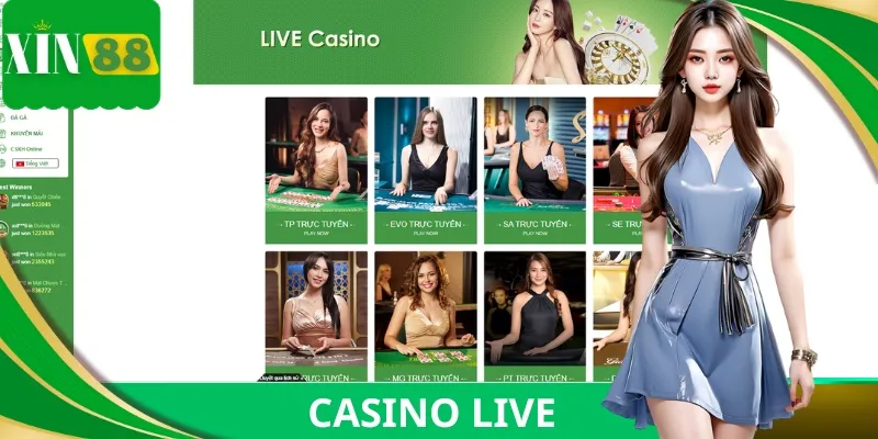 Trải nghiệm sảnh Casino trực tiếp với dealer chuyên nghiệp và uy tín