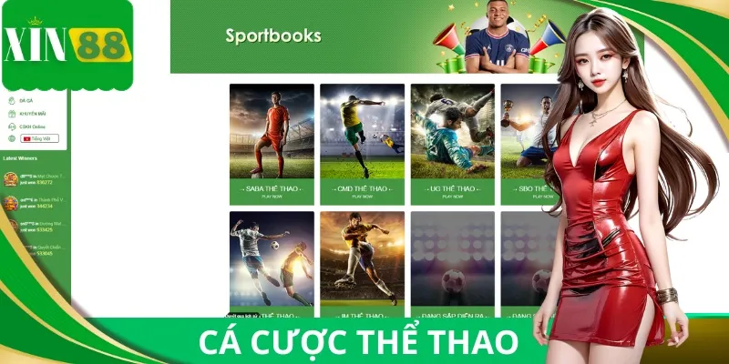 XIN88 sở hữu đa dạng môn thể thao, tỷ lệ kèo chính xác cập nhật nhanh